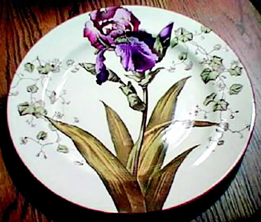 ROC117 Dinner Plate by Royal Cauldon-1