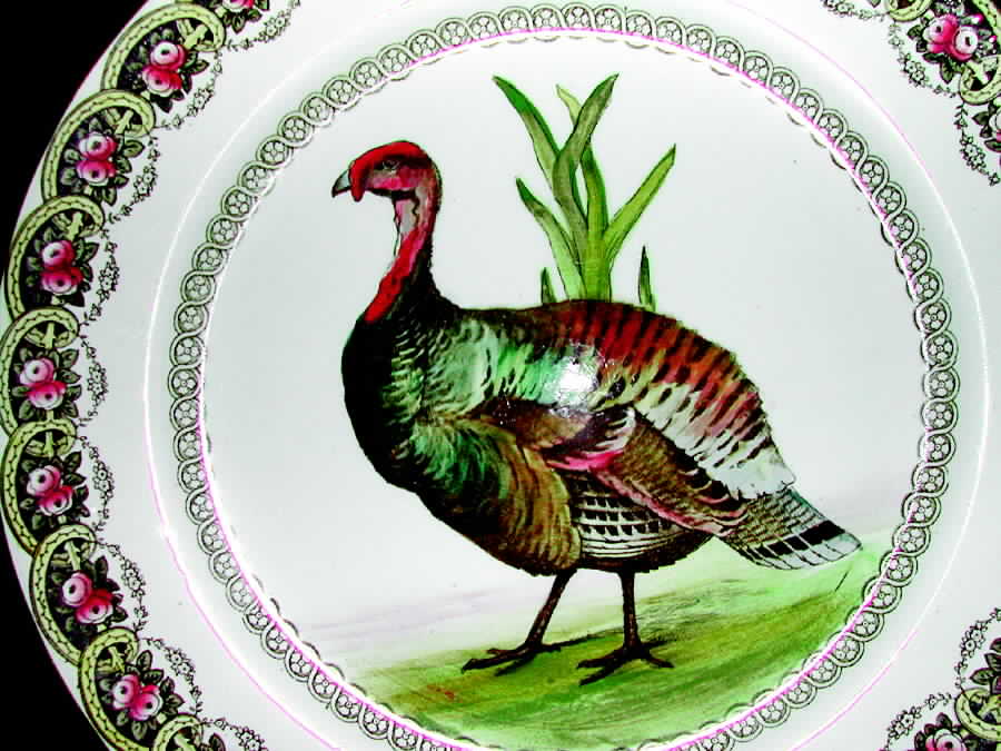 Turkeys Dinner Plate by Royal Doulton-1