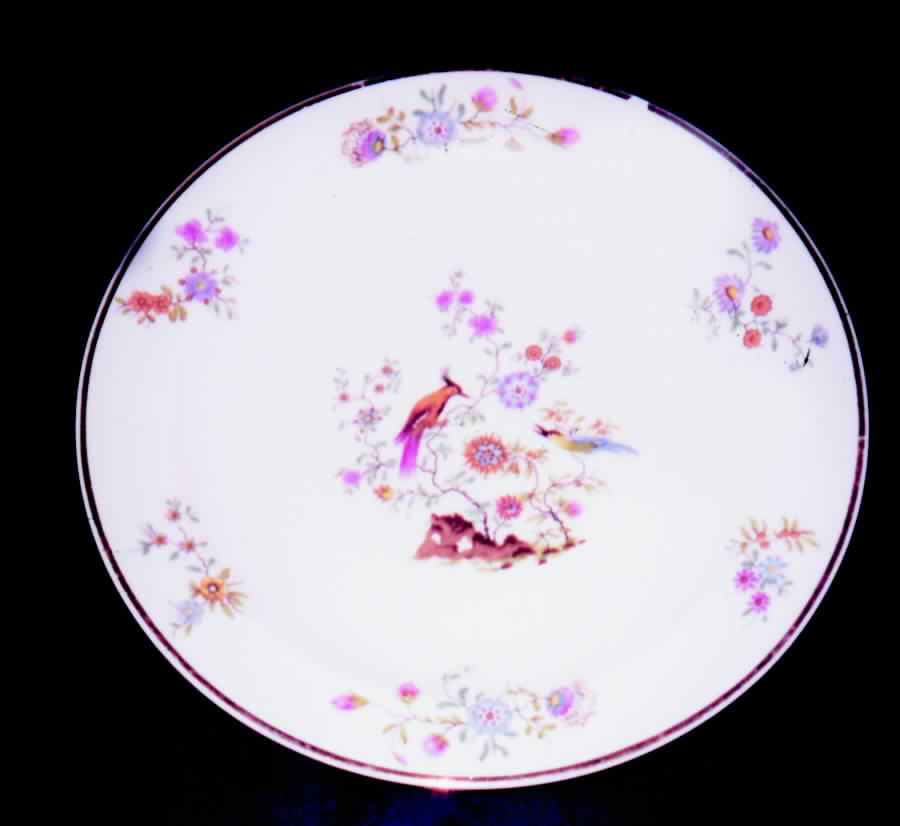 RYD35 Dessert/Pie Plate by Raynaud-1