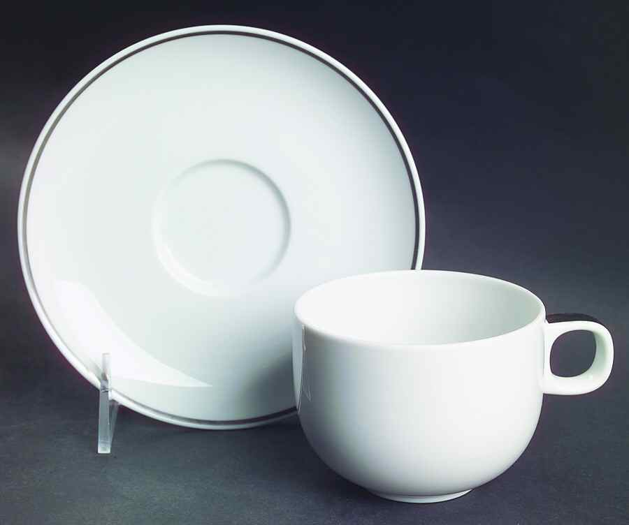 Moon Platinum Flat Cup & Saucer Set by Rosenthal - Continental-1
