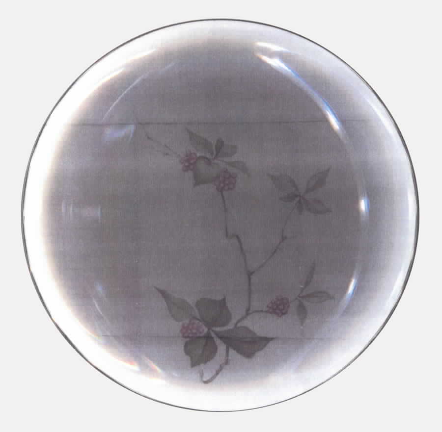 Rubia Dinner Plate by Rosenthal - Continental-1