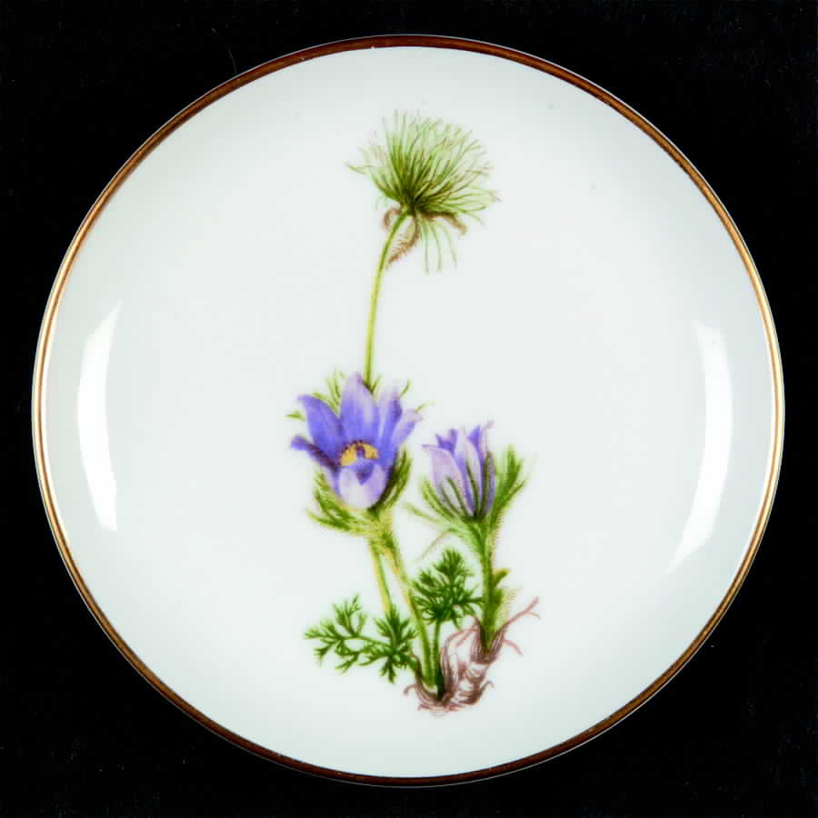 5000 Coaster by Rosenthal - Continental-1