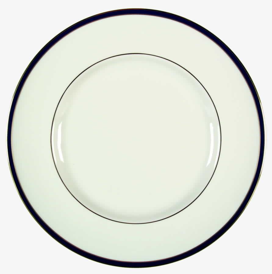 Cambridge Blue Dinner Plate by Royal Doulton-1