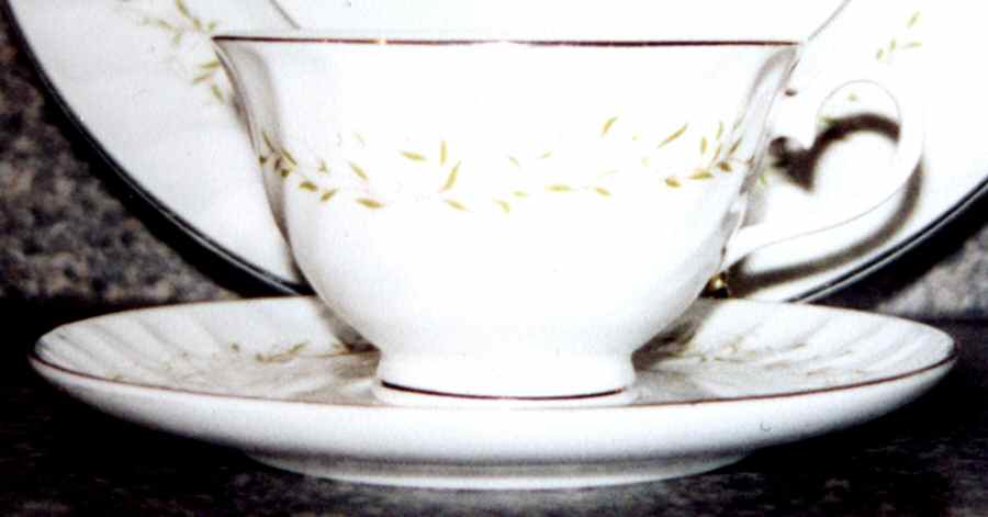 ROJ182 Footed Cup & Saucer Set by Royal Jackson-1