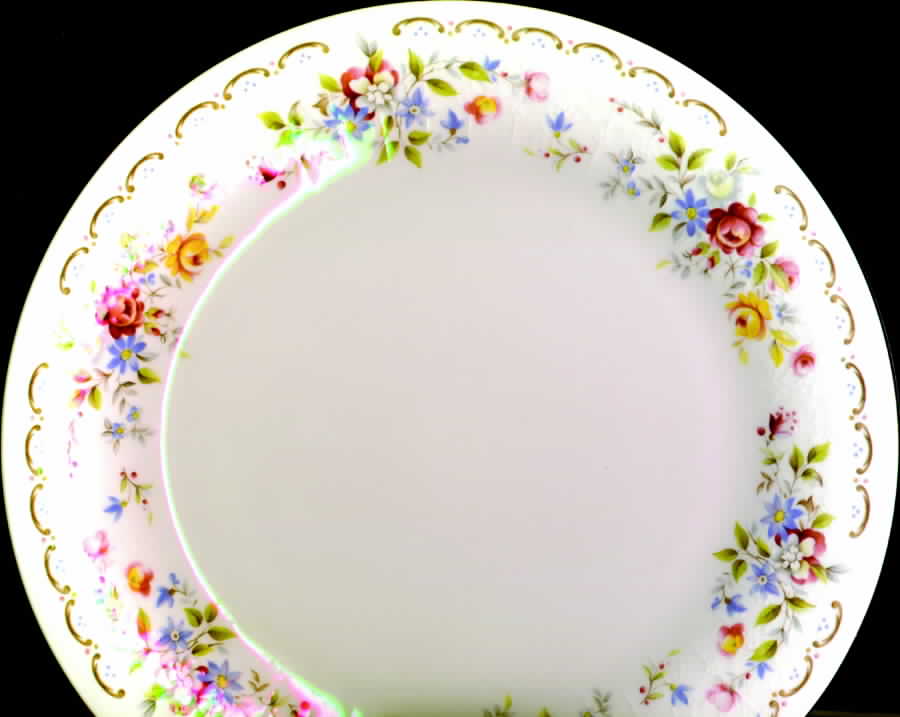 ROK28 Dinner Plate by Royal Kent (England)-1