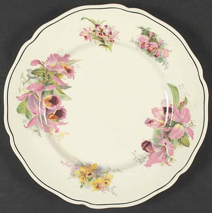 Orchid (White) Dinner Plate by Royal Doulton-1