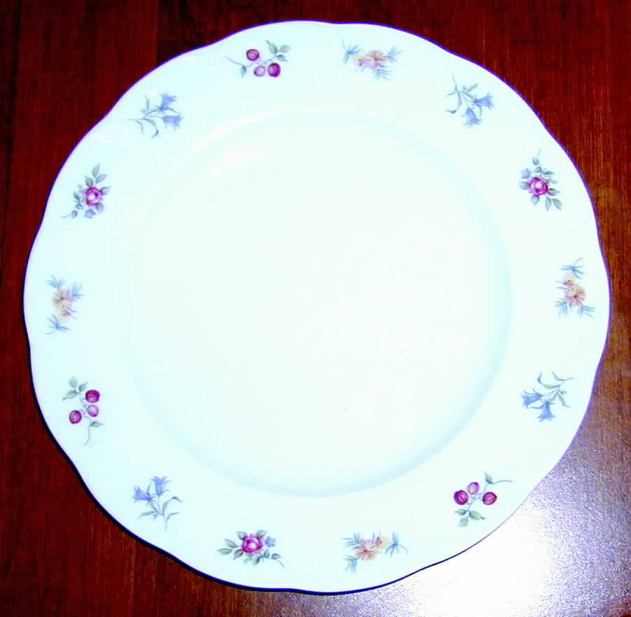 R1272 Dinner Plate by Rosenthal - Continental-1