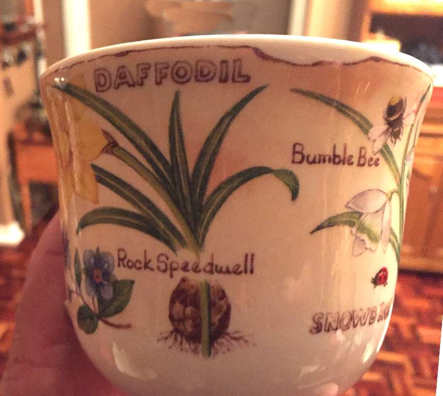 Flora Botanica Breakfast Cup by Roy Kirkham-1