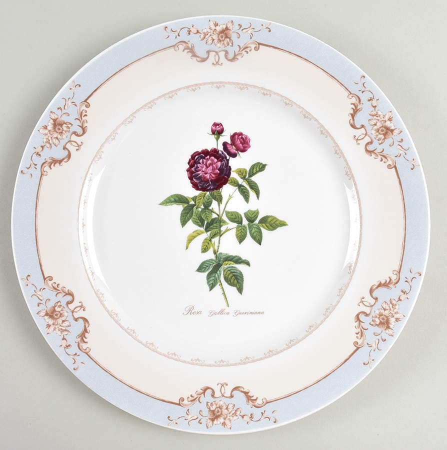 Redoute's Roses Dinner Plate by Rosina-Queens-1