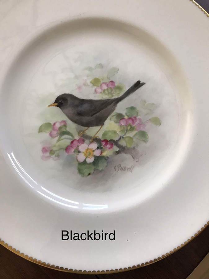 C3388 Dinner Plate by Royal Worcester-1