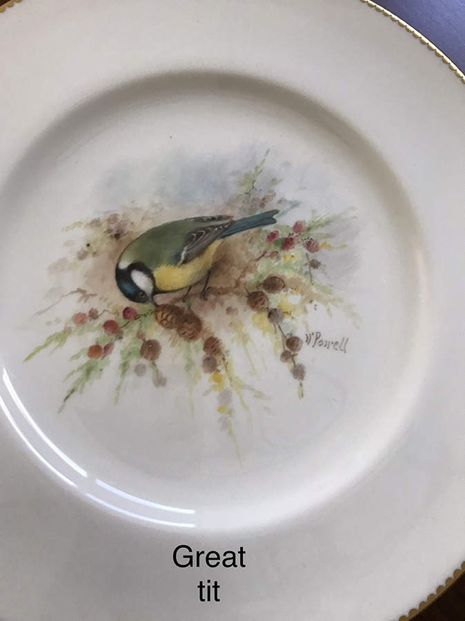 C3388 Dinner Plate by Royal Worcester-1