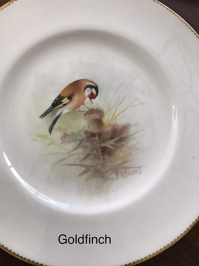 C3388 Dinner Plate by Royal Worcester-1