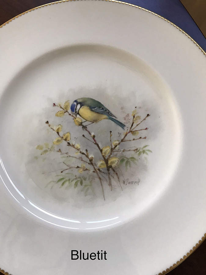 C3388 Dinner Plate by Royal Worcester-1