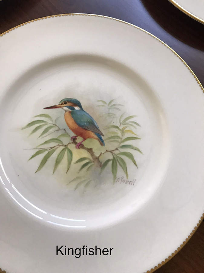 C3388 Dinner Plate by Royal Worcester-1