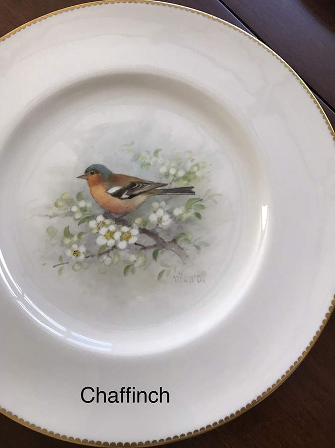 C3388 Dinner Plate by Royal Worcester-1
