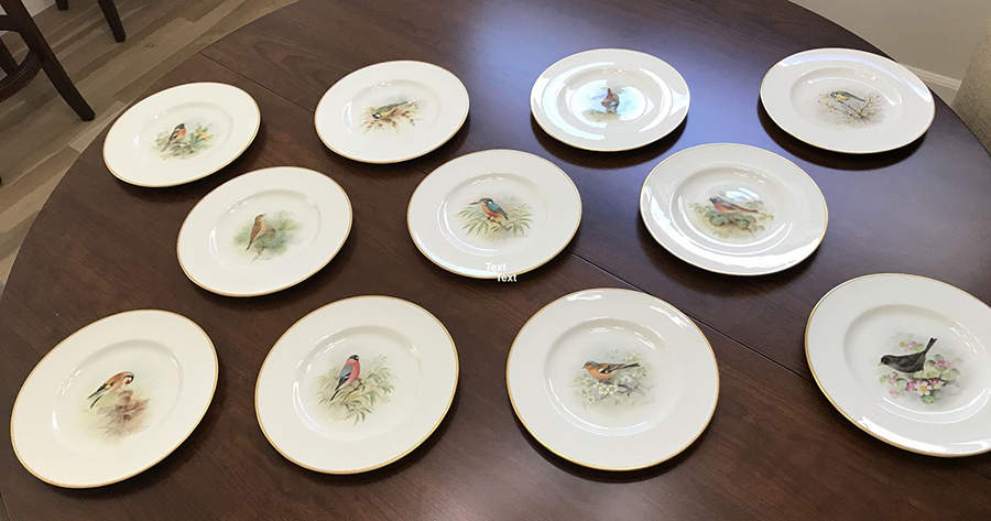 C3388 Dinner Plate by Royal Worcester-1