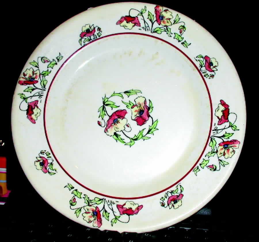 ROJ185 Dinner Plate by Royal Jackson-1