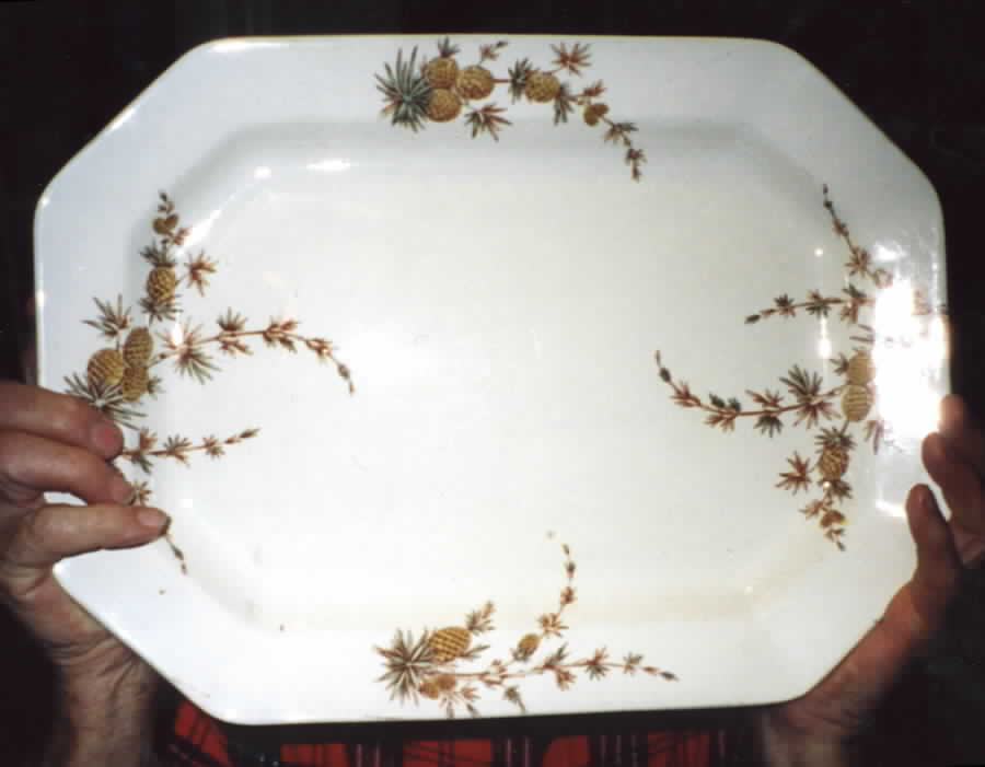 Cenis 14" Oval Serving Platter by Ridgway (Ridgways)-1