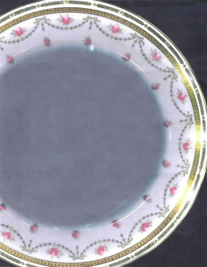 E2975 Dinner Plate by Royal Doulton-1