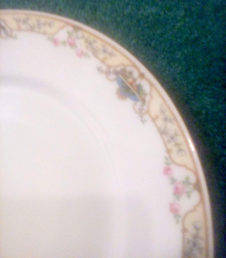 RUD19 Dinner Plate by Rudolstadt-1