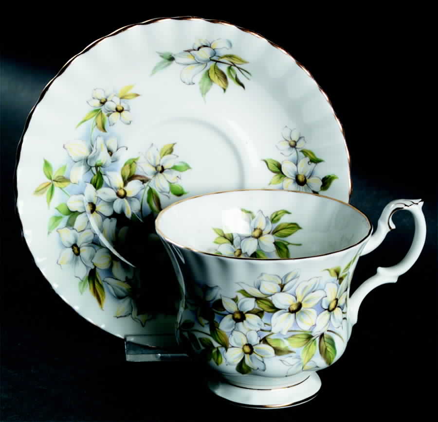 Pacific Dogwood Footed Cup & Saucer Set by Royal Albert-1
