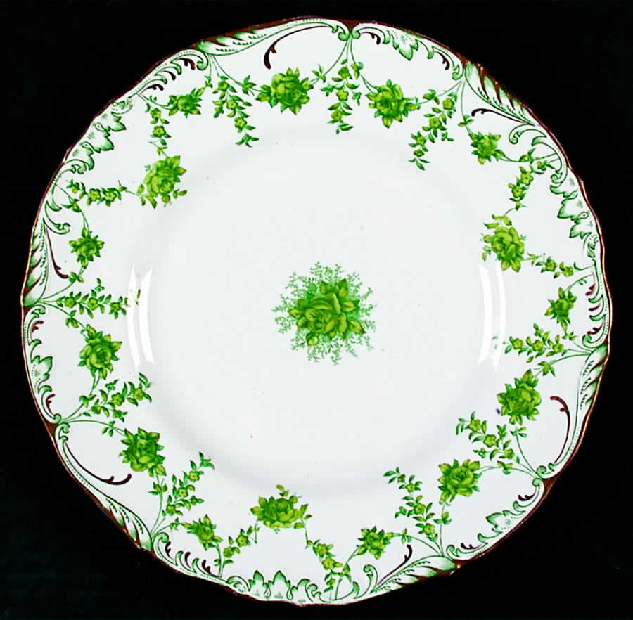 H9381 Luncheon Plate by Royal Cauldon-1