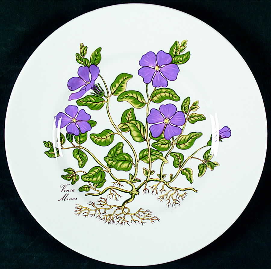 Flora Botanica Salad Plate by Rosina-Queens-1