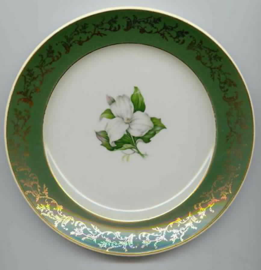 RDG5 Salad Plate by Ridgewood-1