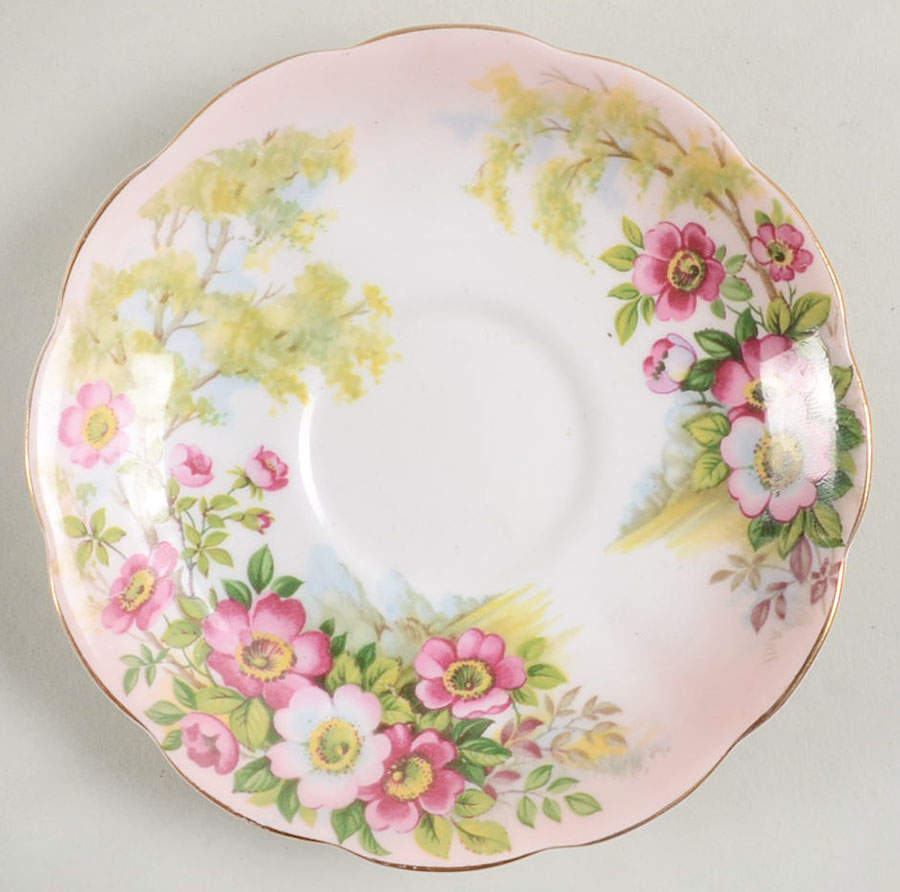 Wild Rose Saucer by Royal Albert-1