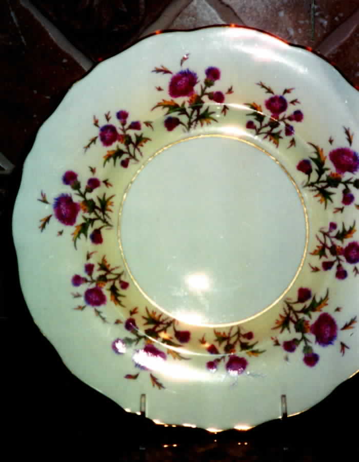 Glencoe Dinner Plate by Royal Cauldon-1