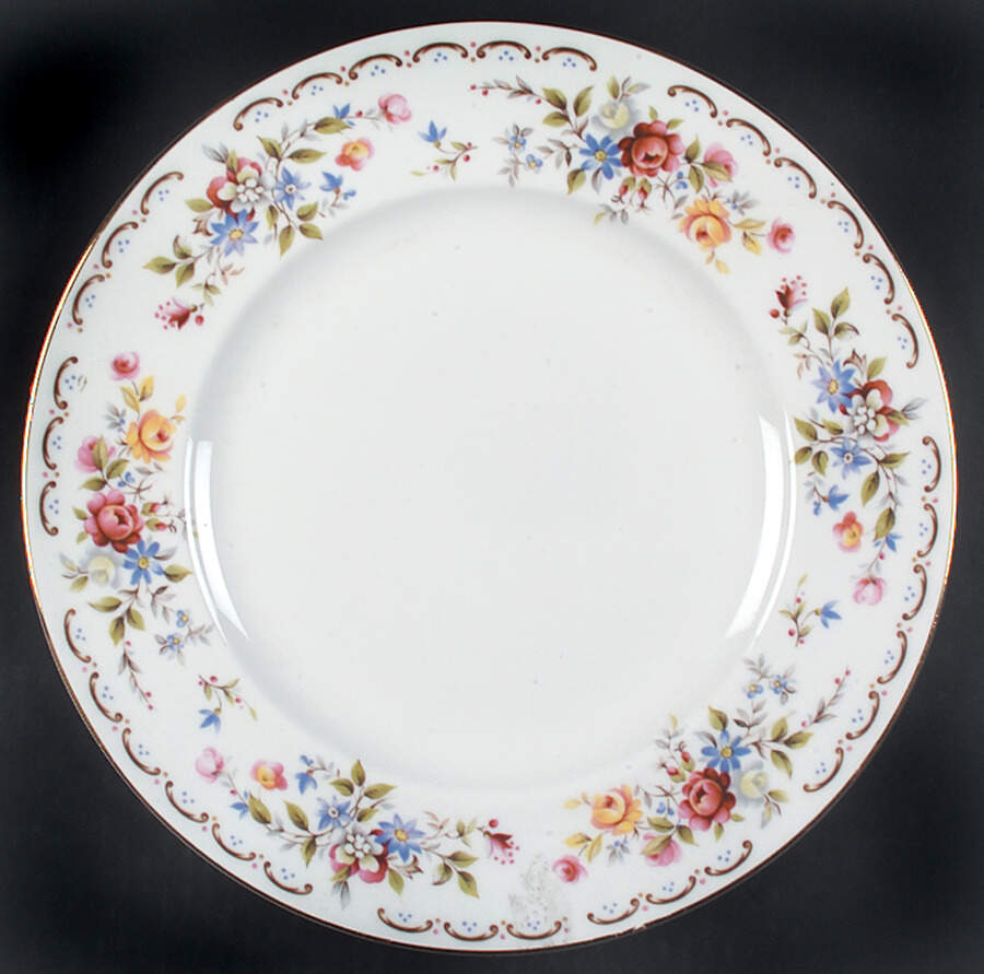 RVA45 Dinner Plate by Royal Vale-1