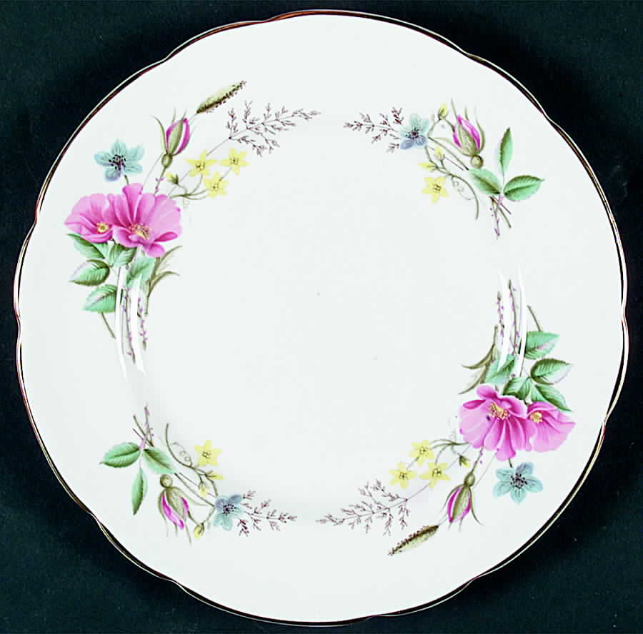 RE15 Salad Plate by Regency-1