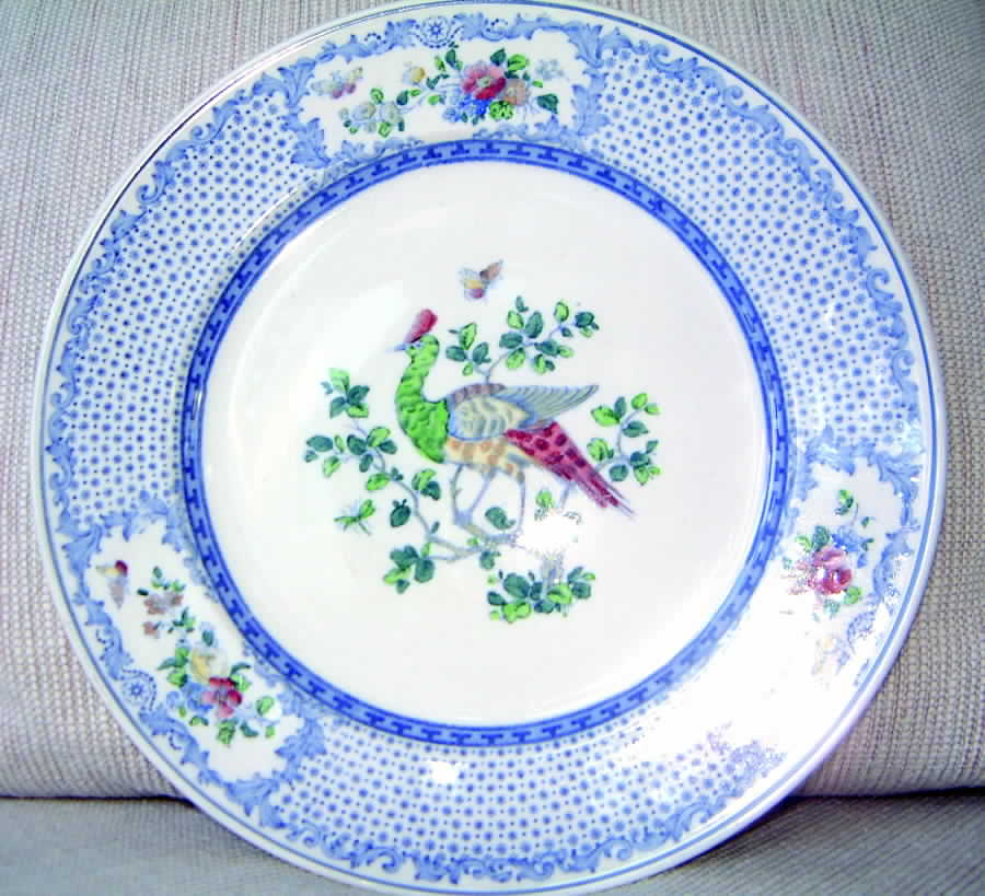 ROC131 Dinner Plate by Royal Cauldon-1
