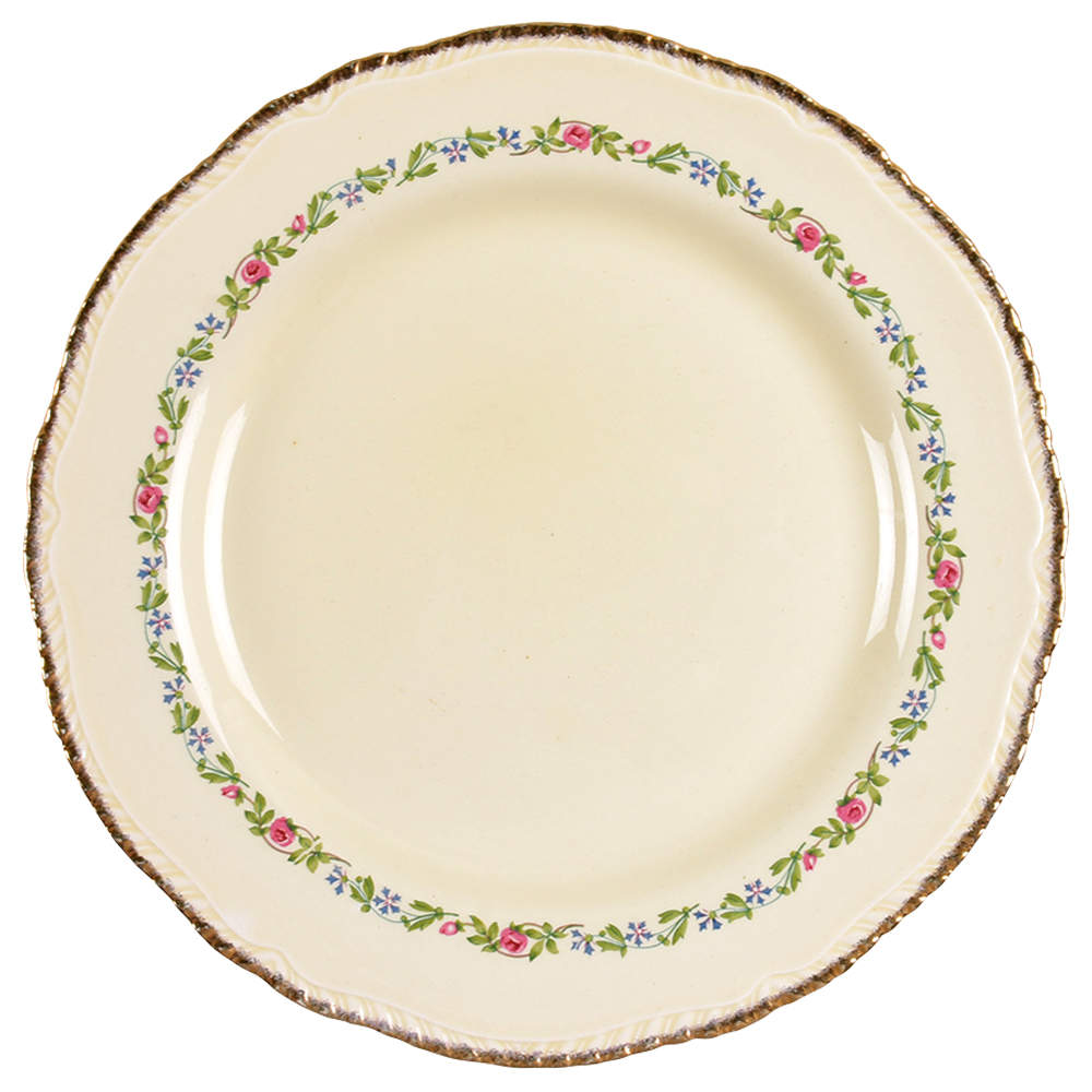 302 Dinner Plate by Ridgway (Ridgways)-1