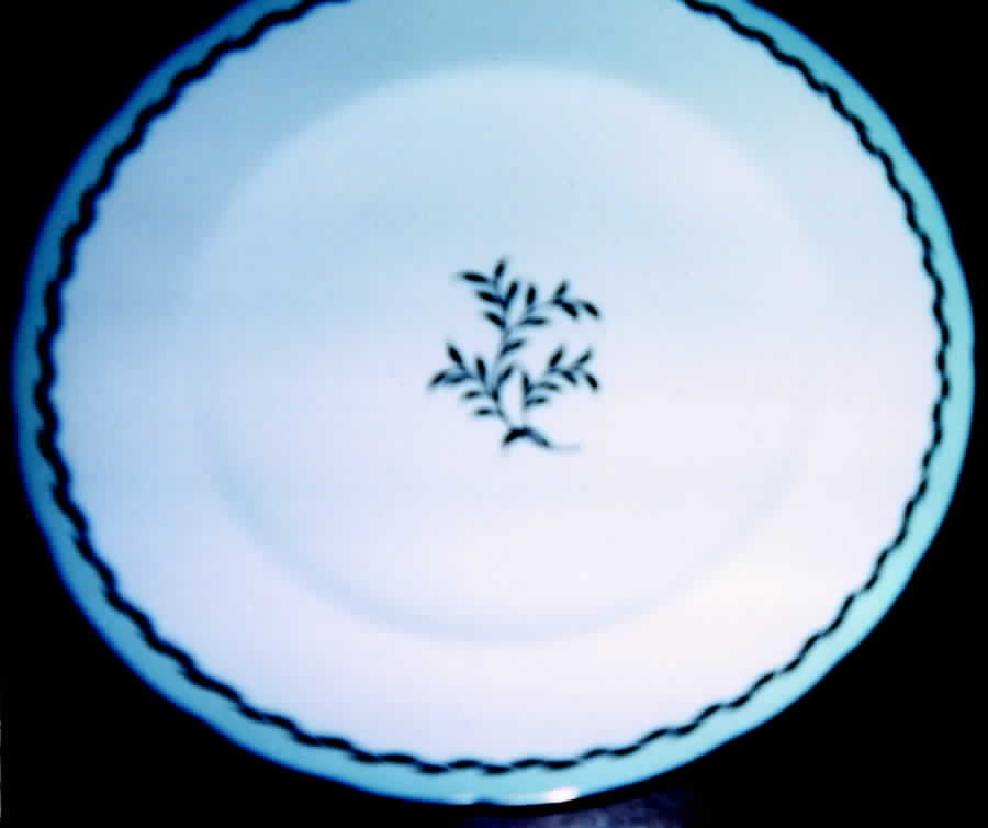 A363 Luncheon Plate by Royal Crown Derby-1