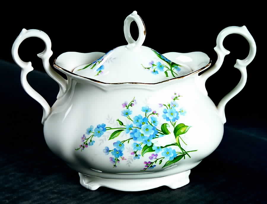Forget Me Not (Victoria) Sugar Bowl No Lid by Royal Albert-1