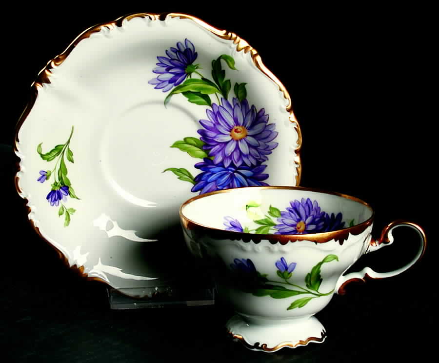 R1322 Footed Cup & Saucer Set by Rosenthal - Continental-1
