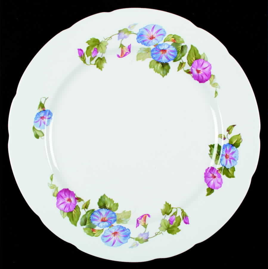 8373 (Flat Rim, Semi Scalloped Edge) Dinner Plate by Samuel Radford-1