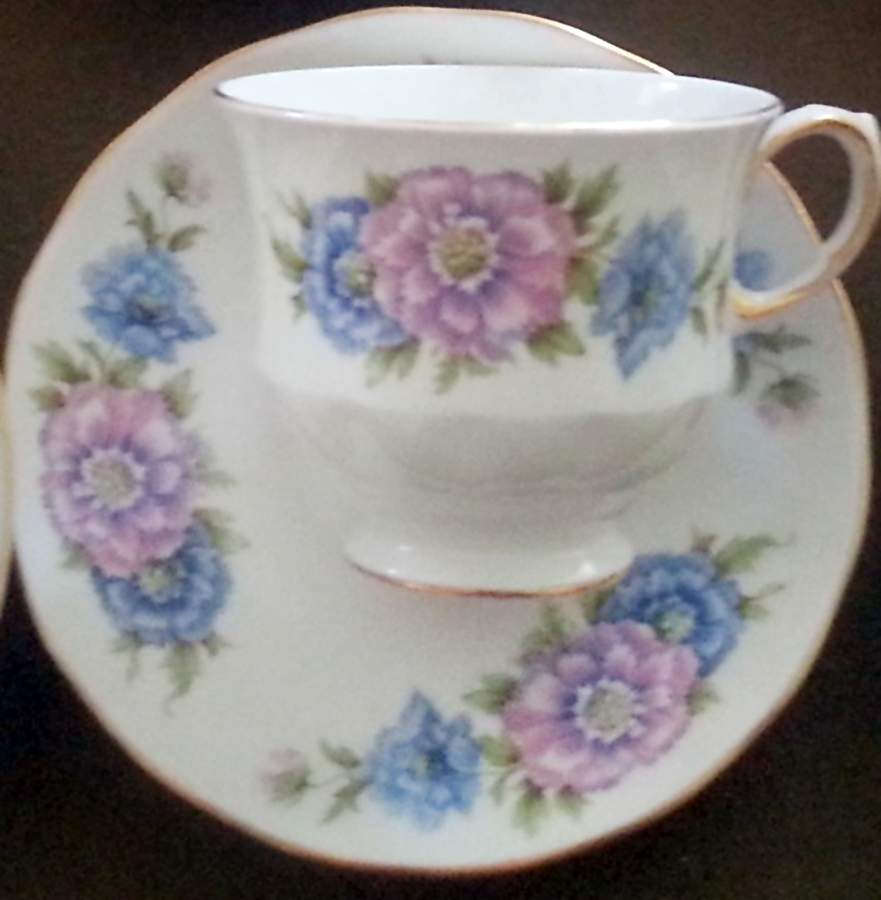 RID47 Footed Cup & Saucer Set by Ridgway (Ridgways)-1
