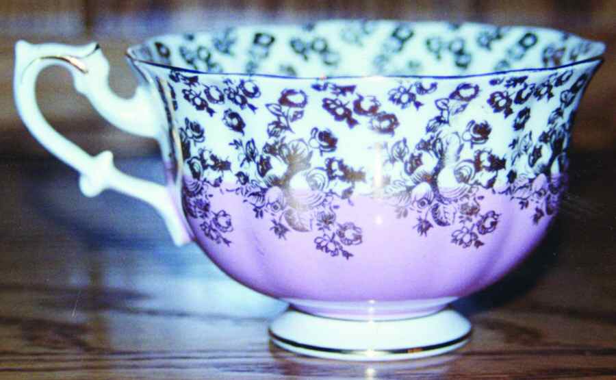 Cascade Series Footed Cup by Royal Albert-1