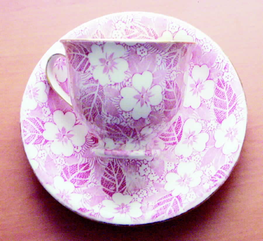 308p Footed Cup & Saucer Set by Royal Winton-1