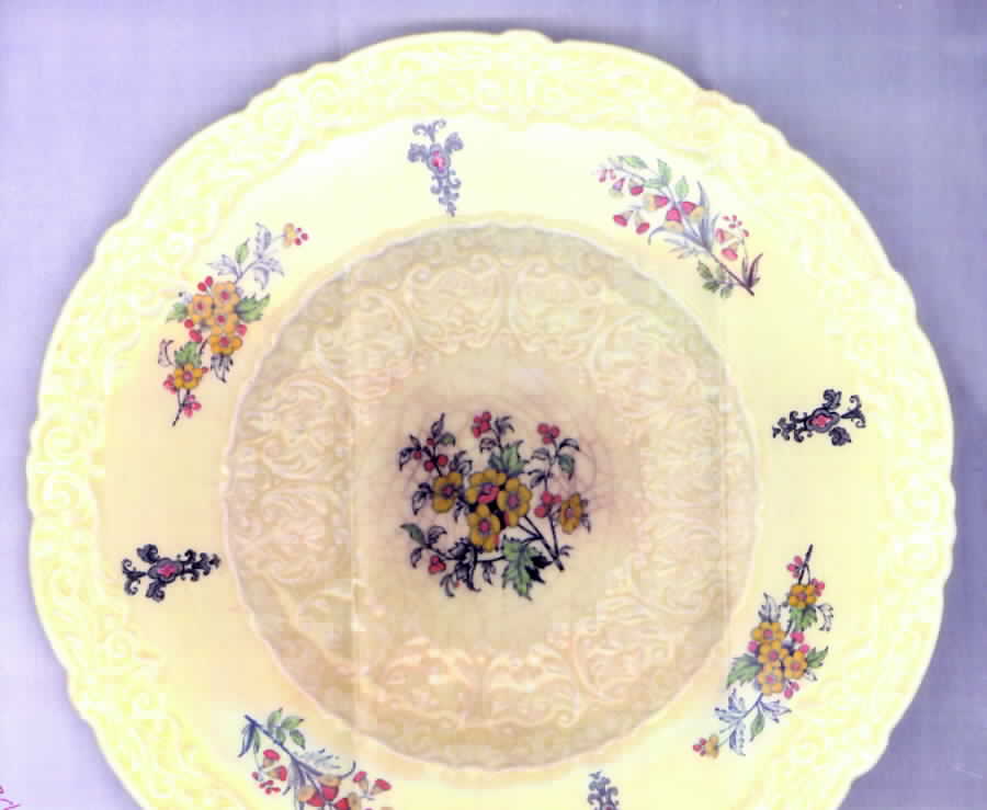 ROC134 Dinner Plate by Royal Cauldon-1
