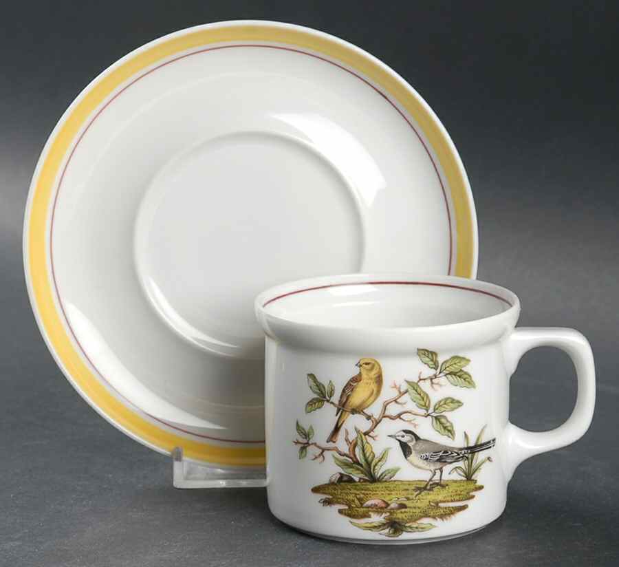 Bayreuth Birds Flat Cup & Saucer Set by Royal Bayreuth-1