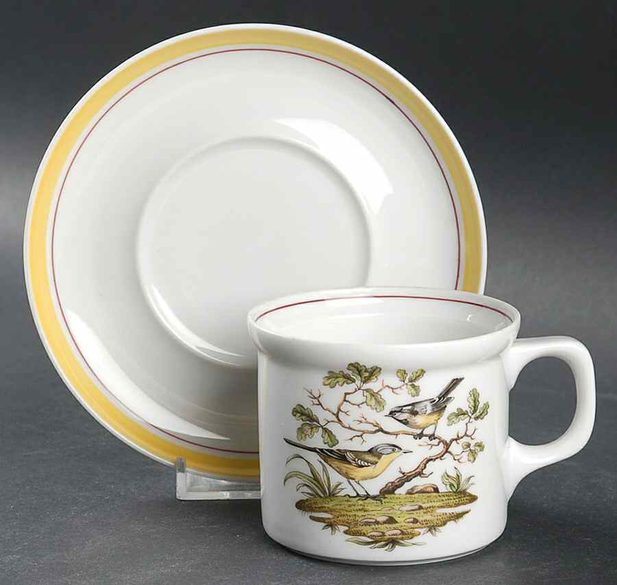 Bayreuth Birds Flat Cup & Saucer Set by Royal Bayreuth-1