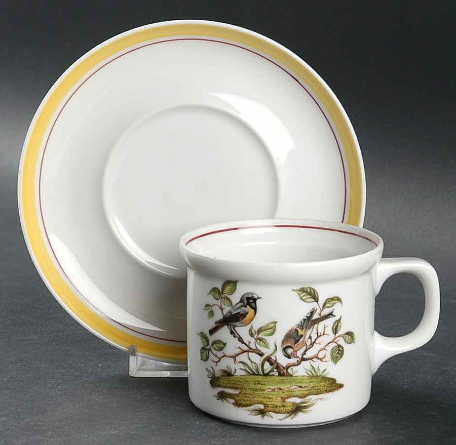 Bayreuth Birds Flat Cup & Saucer Set by Royal Bayreuth-1