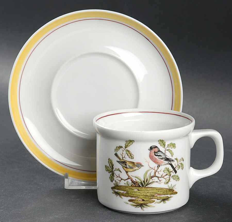 Bayreuth Birds Flat Cup & Saucer Set by Royal Bayreuth-1
