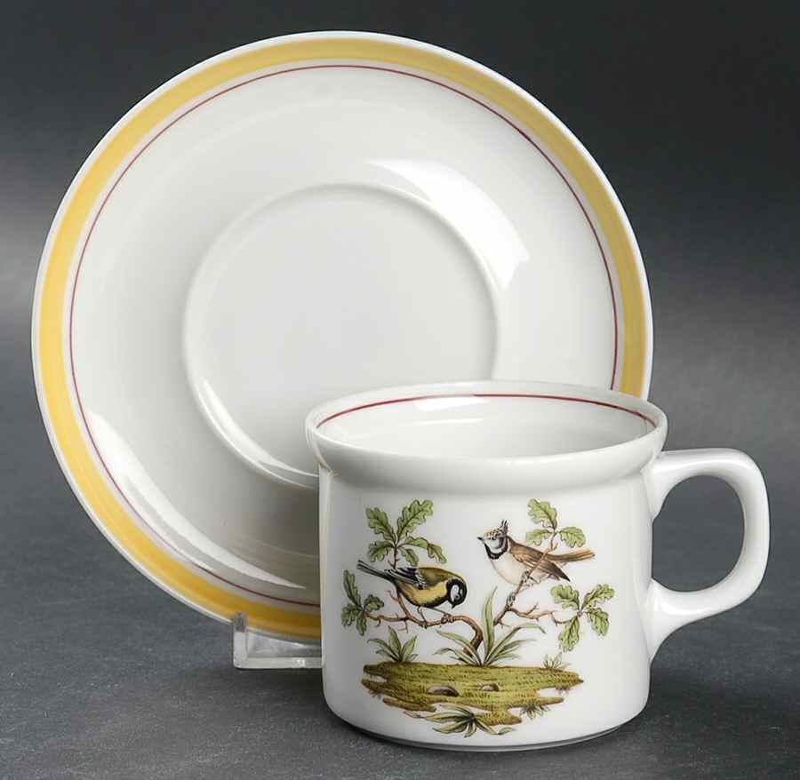 Bayreuth Birds Flat Cup & Saucer Set by Royal Bayreuth-1
