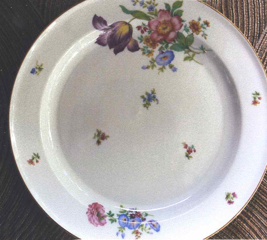 2922 Dinner Plate by Rosenthal - Continental-1