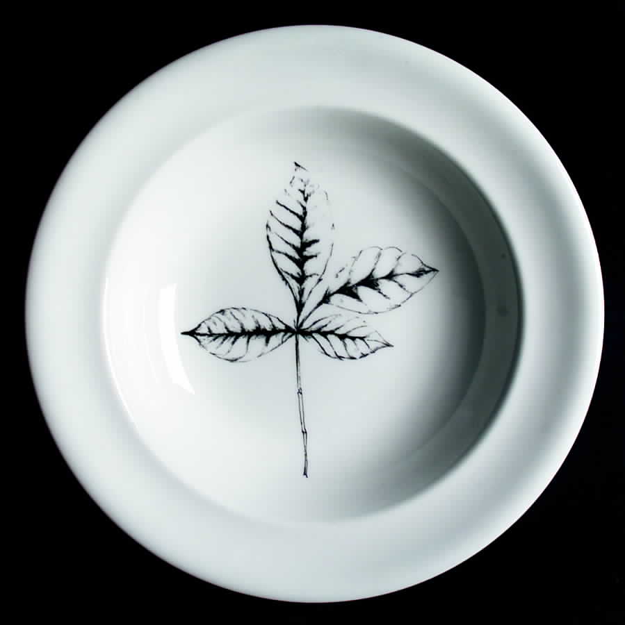 Leaves Cafe 11" Individual Pasta Bowl by Royal Doulton-1