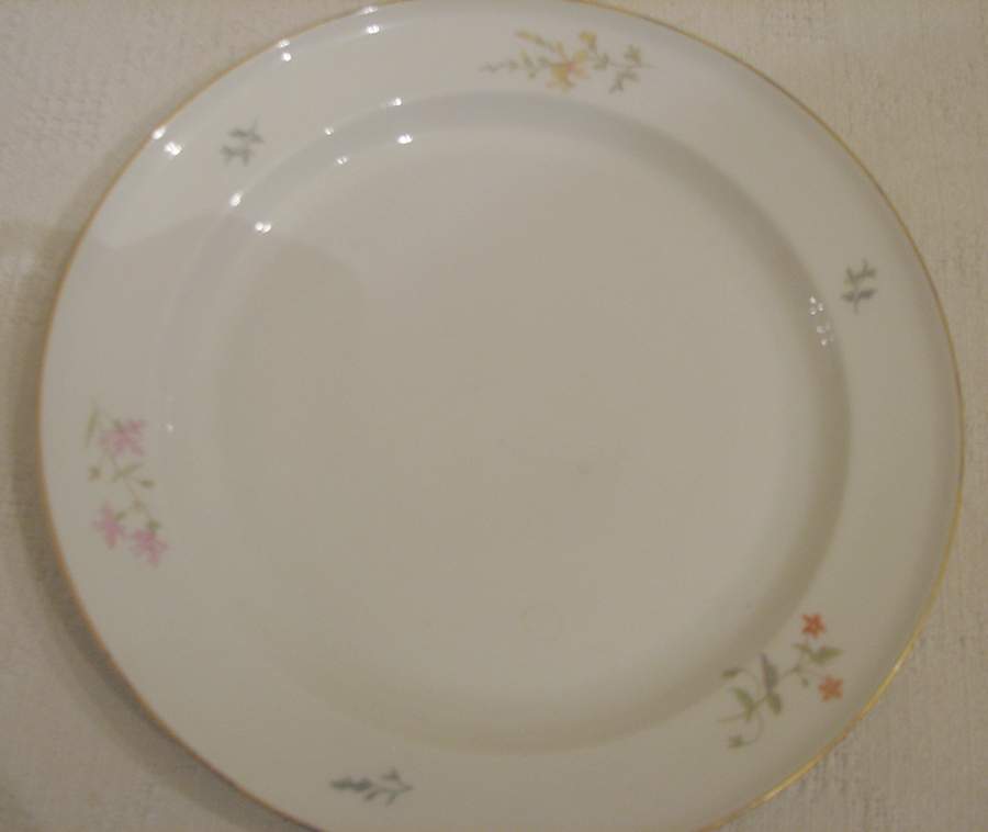 R1133 Dinner Plate by Rosenthal - Continental-1
